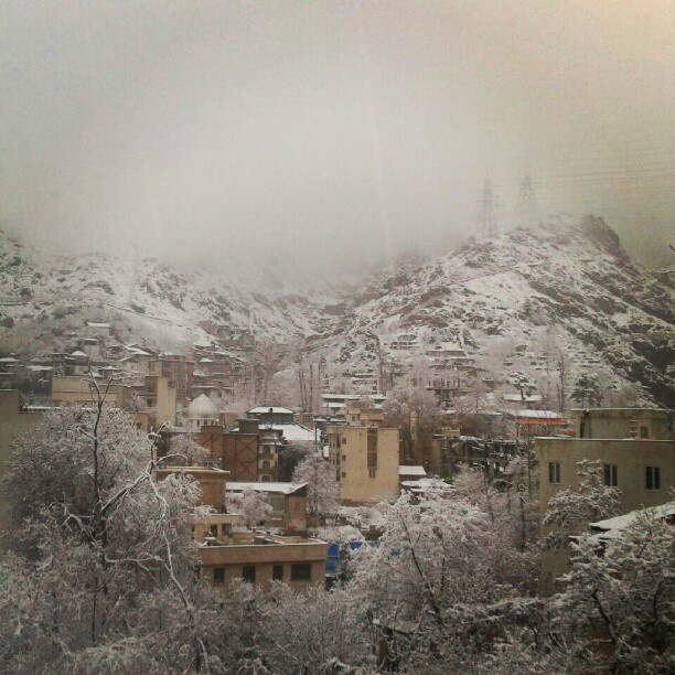 همراه‌نگاره:  صبحی چنین را آغاز می کنیم