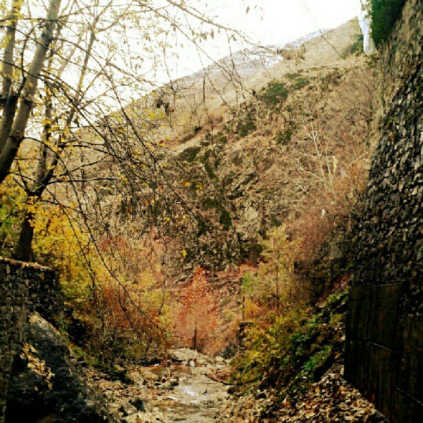 همراه‌نگاره:  بیراهه حلوت